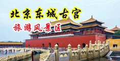 少妇淫水多多视频中国北京-东城古宫旅游风景区
